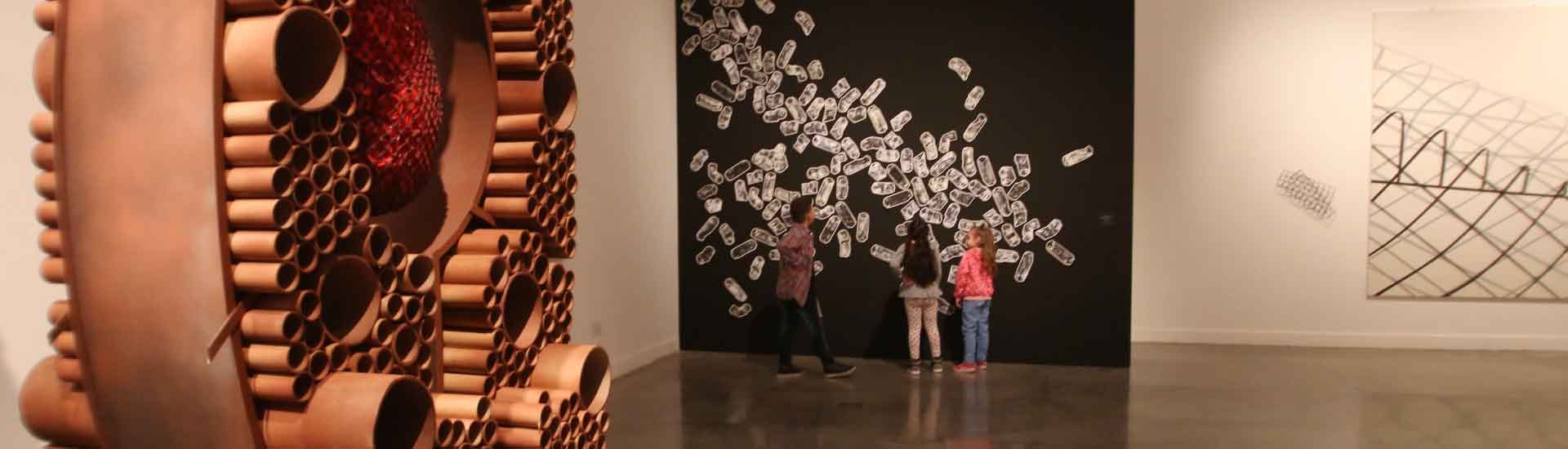 Museu de Belas Artes Franklin Rawson