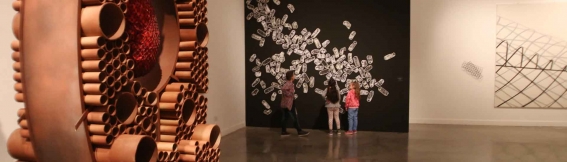 Museo de Bellas Artes Franklin Rawson