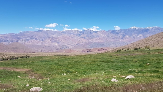 Paso de Los Patos, Calingasta