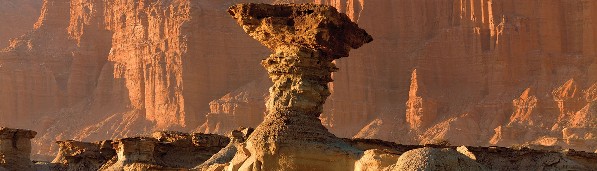 Parque Provincial Ischigualasto